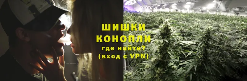 сколько стоит  Алексин  кракен маркетплейс  Бошки Шишки THC 21% 